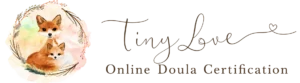 Tiny Love Doula Logo